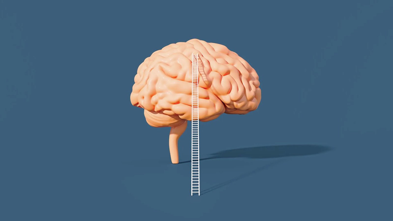 Want Better Habits? Neuroscience Says This Is How to Train Your Brain