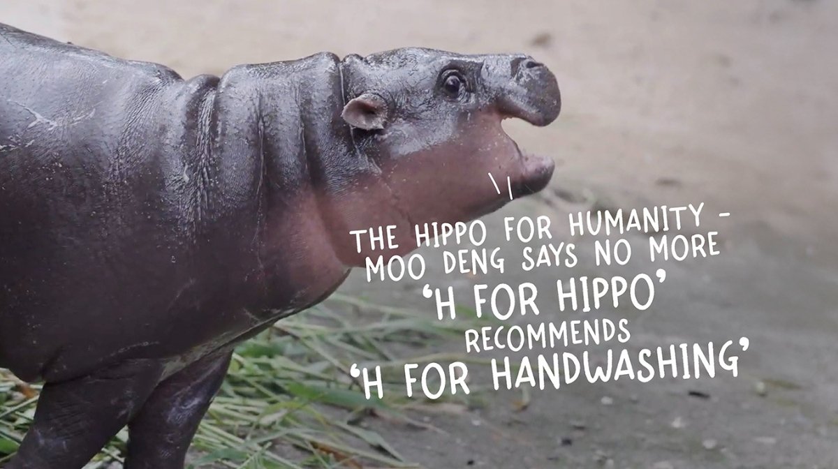 Moo Deng the baby hippo stars in her first official brand endorsement, encouraging self-hygiene – Ad Campaigns