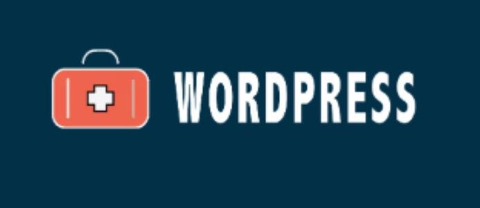 Naprawa WordPress Company Specializes In WordPress